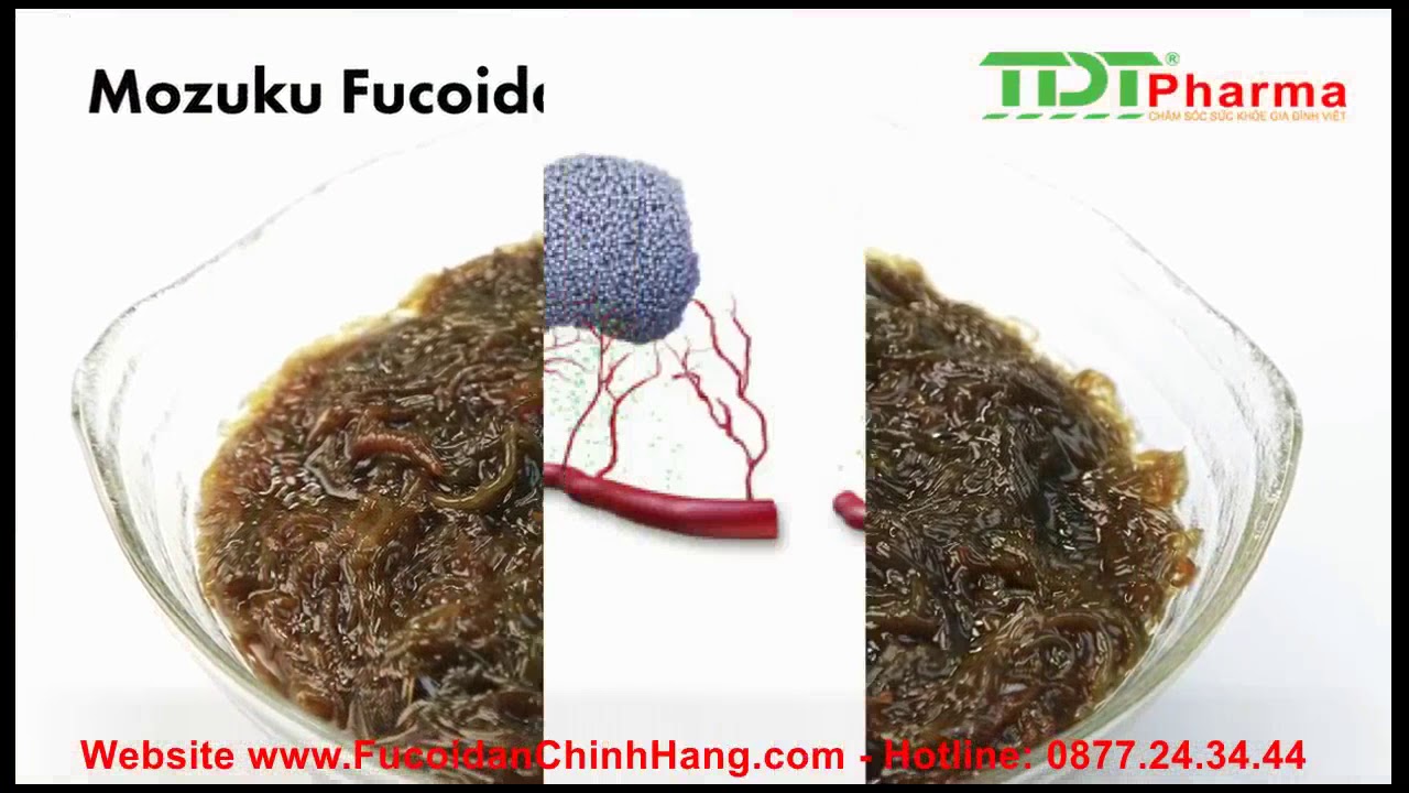 Video giới thiệu về Fucoidan 3-Plus Nhật Bản nhập khẩu chính hãng