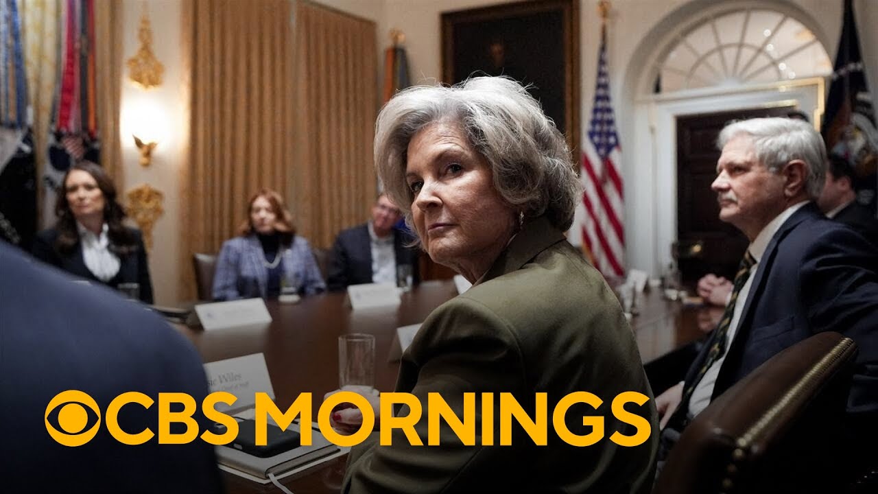 What to know about chief of staff Susie Wiles' blunt assessment of top officials