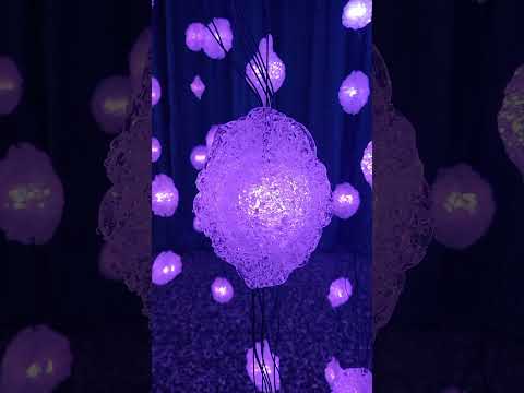 Pipilotti Rist: Pixel Forest and Worry Will Vanish - Houston MFA 2023 - 1