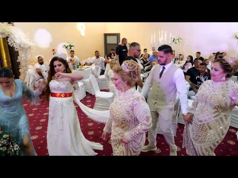 Ristem I Familiq ARABICA 2 HIT 2025