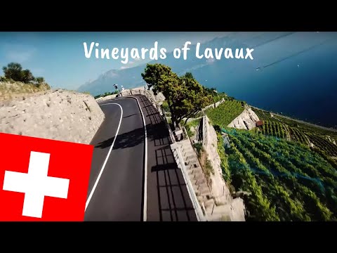 Vineyards of Lavaux | Grandvaux, Switzerland | DJI Mavic Pro | 4k (HD)