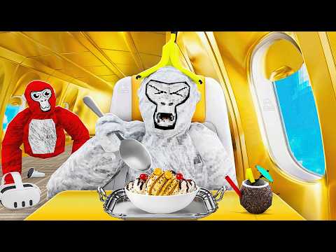 I Tried Gorilla Tag on a Private Jet