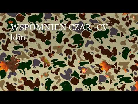 WSPOMNIEŃ CZAR -Cegła BHK feat. CV (Czez, Voom), Patka