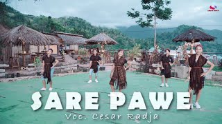 Download lagu Lagu Daerah Ende-Lio Terbaru 2020||SARE PAWE||Cipt/Voc:Cesar Radja mp3