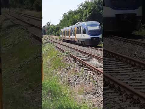 Trainspotting in Templin an der RB 12