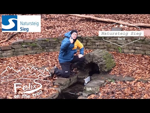 Natursteig Sieg 6: 23 km von Dattenfeld + Schleife von Herchen mit Heilquelle - viele Singletrails