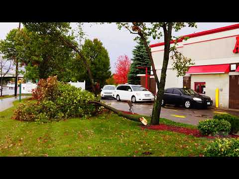 10-23-2020 Dundee, MI - Severe Thunderstorm - Tree Damage - Large Hail - Stormy Scenes