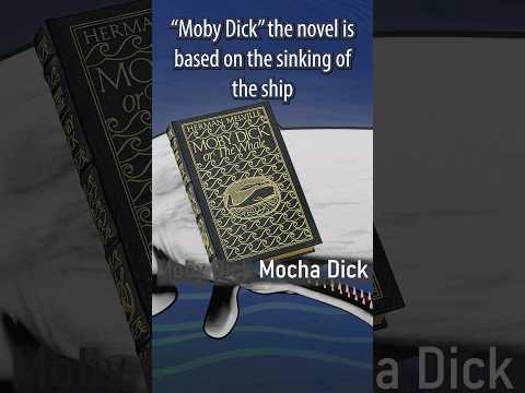 The TRUE story that inspired Moby Dick is even more perverted