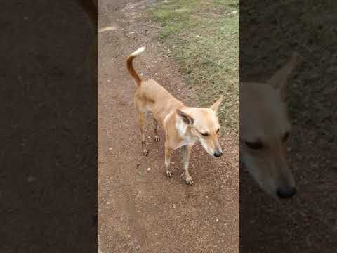 god Very 😎👍Smart