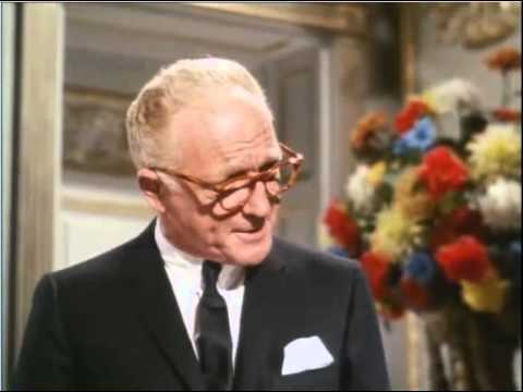 Vorschaubild für Der Tölpel vom Dienst Trailer