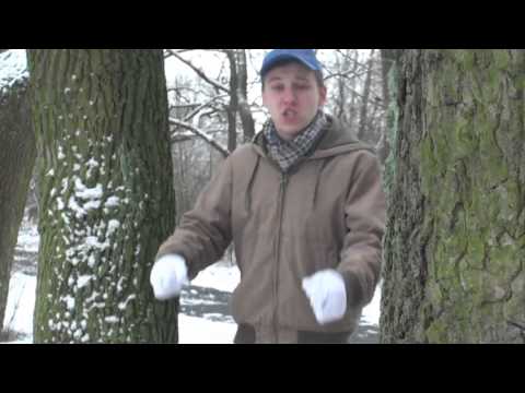 JBB 2013 HoS - Big Jigga J (Qualifikation)