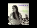 Dinosaur Jr. - How'd You Pin That One On Me