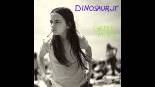 Dinosaur Jr. - How&#39;d You Pin That One On Me