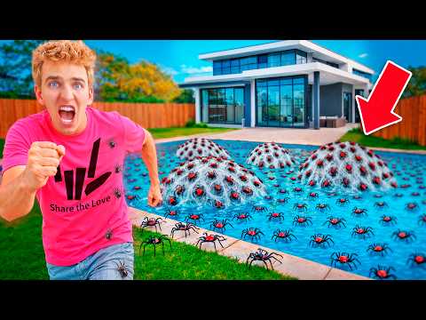My Pool is INFESTED with Deady Spiders!