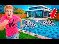 My Pool is INFESTED with Deadly Spiders!