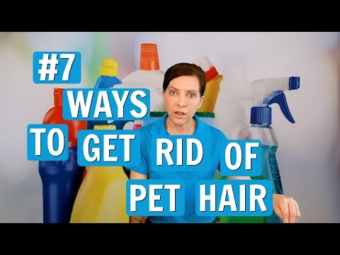 image-How do I get rid of dog hair on my clothes?
