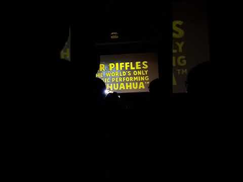 Piff the magic dragon live