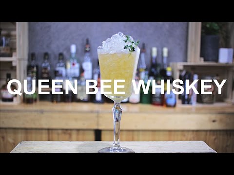 Queen Bee – Steve the Bartender