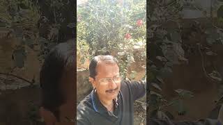 Download lagu Dil hoom hoom kare ghabraye🩸#song #love #hindisong #youtubeshorts #music #shortsfeed #shorts #reels mp3 Download lagu Dil hoom hoom kare ghabraye🩸#song #love #hindisong #youtubeshorts #music #shortsfeed #shorts #reels mp3