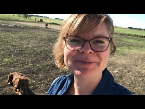 First Week of June Garden Update