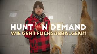 Wie geht Fuchsabbalgen?! 🦊 mit @wildhuntblackforest4494
