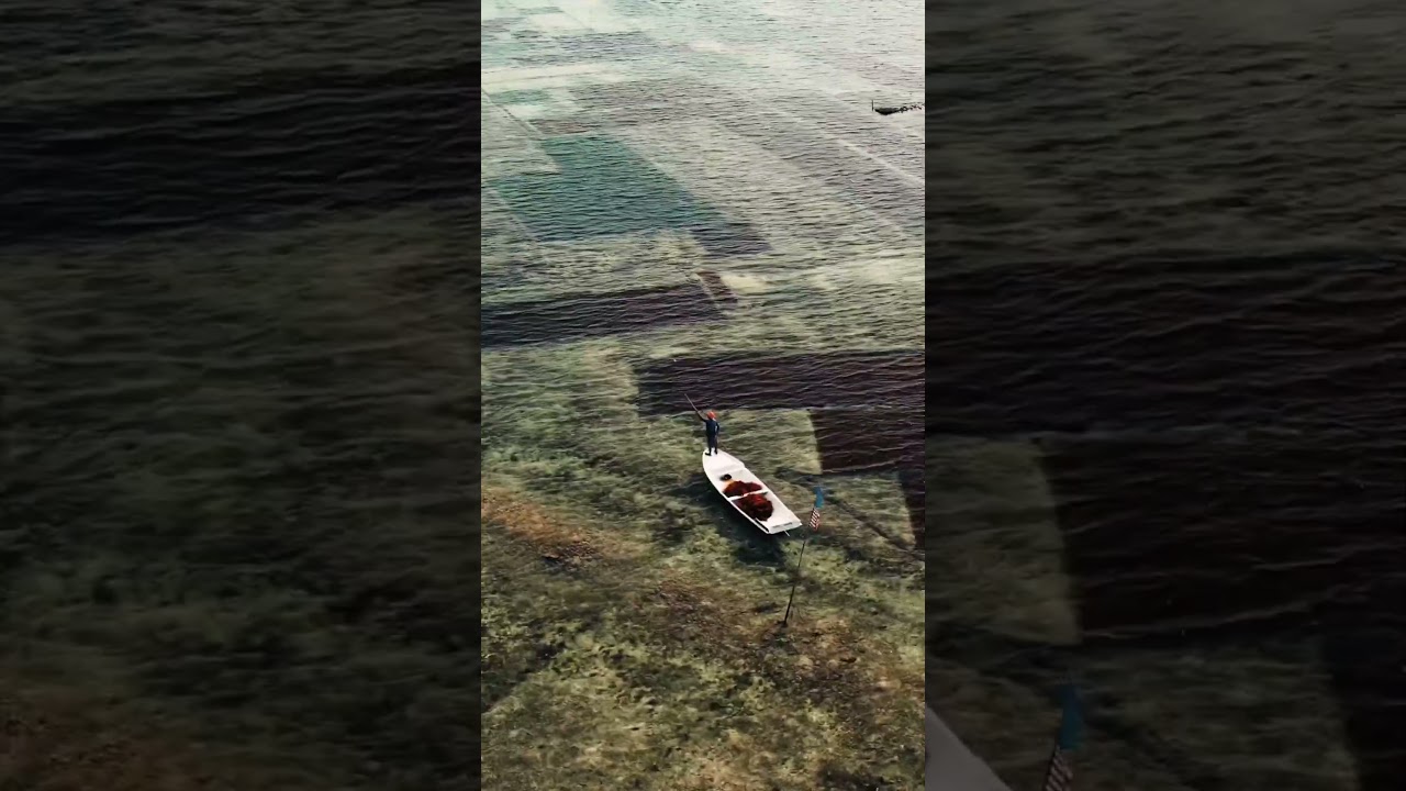 YouTube Short thumbnail