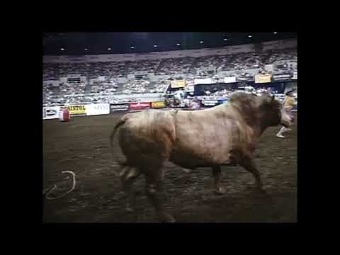 Spin Doctor bucks Corey Navarre - 00 PBR Nashville