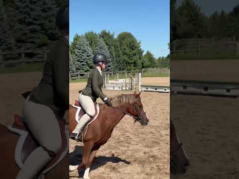 Golden Dream PF video 2