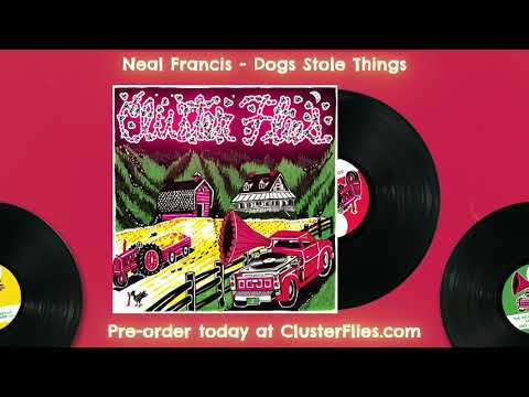 Cluster Flies: Neal Francis - "Dogs Stole Things"