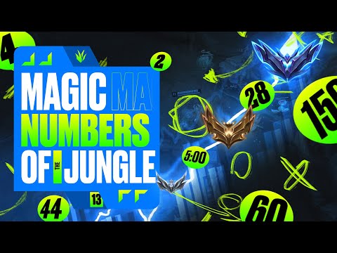 Jungle Tracking For Beginners: Unlock The Full Potential Of Jungle!