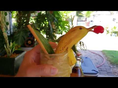 How to Make A Dolphin Garnish for Cocktails & Tiki Drinks #tikibar