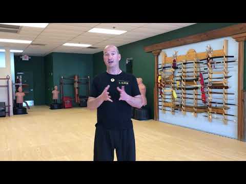 24 Yang Tai Chi Poem 20-Flash Hands