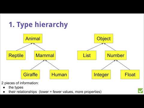 Custom type-checking for programming, teaching, and research