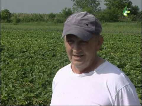 ТВ Маґазин по руски емитовани 26.05.2013. - TV Magazin po ruski emitovani 26.05.2013.