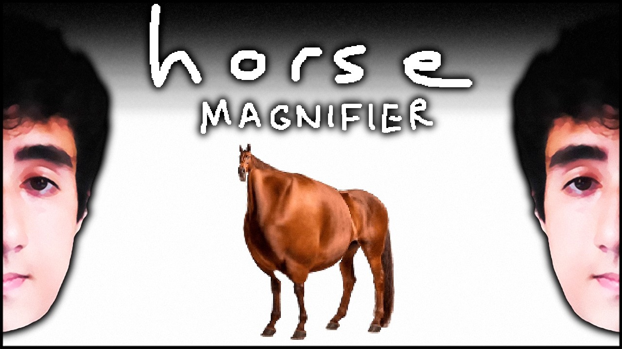 Cavalos MAGNÍFICOS. 🐎