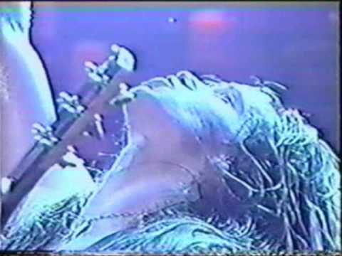 eddie van halen vs zakk wylde