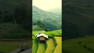 Download lagu View sawah di tabanan 🌾 #bali #trip #sawah #nature #travel #pemandangan mp3