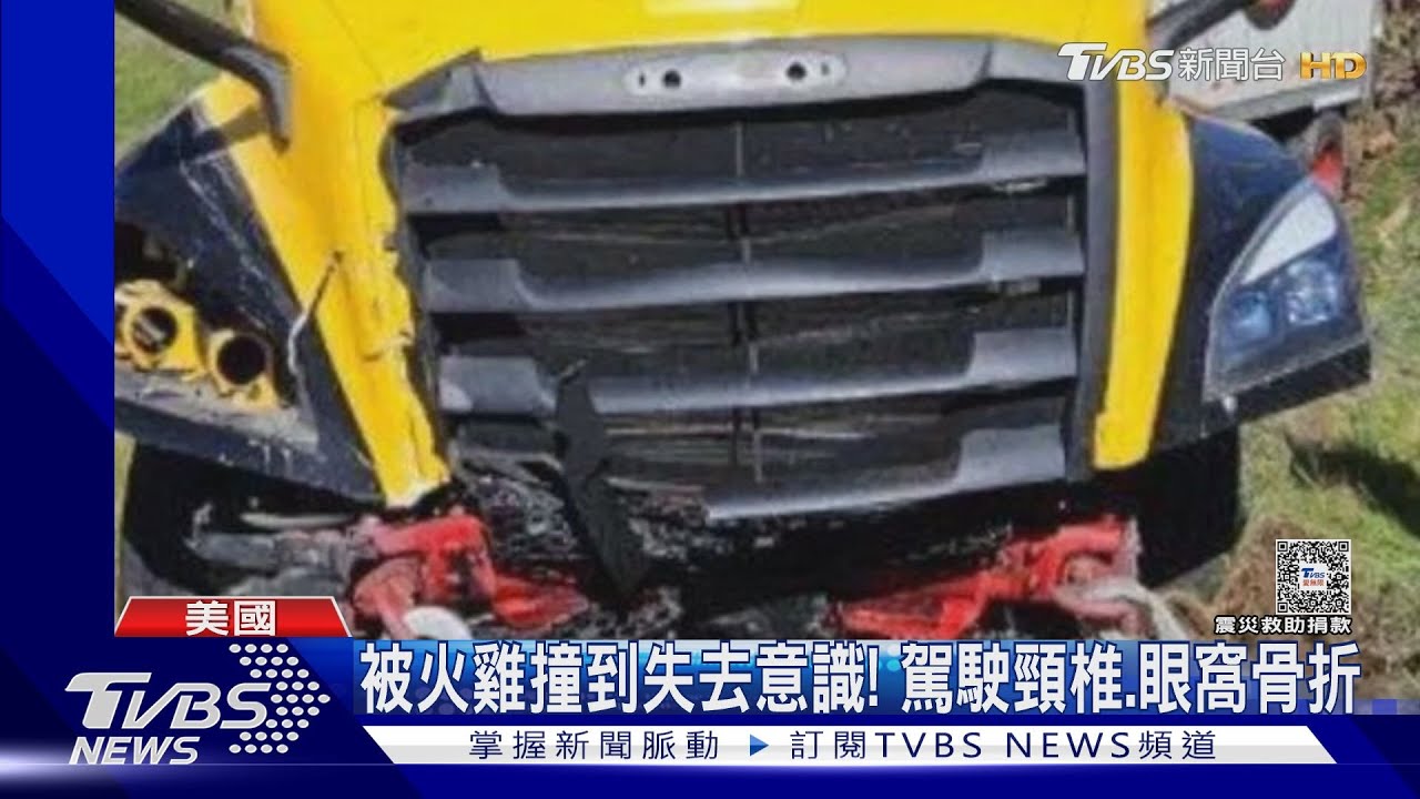 卡車擋風玻璃遭撞破　駕駛頸椎、眼窩骨折　兇手竟是「火雞」