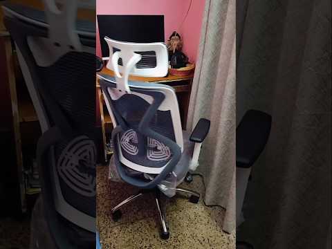 Office chair | ASTRIDE Ergofit Ergonomic | best chair #shorts #chair