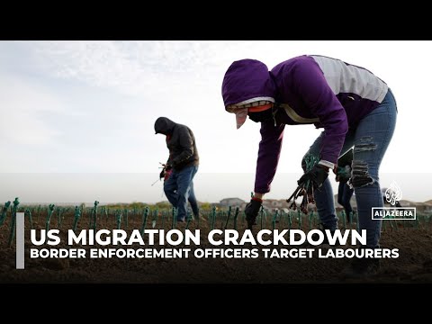 US immigration raids spark fear among farmworkers, risking labour shortages and rising food prices