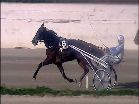 Trotto 27/12/2019 - 2ª corsa