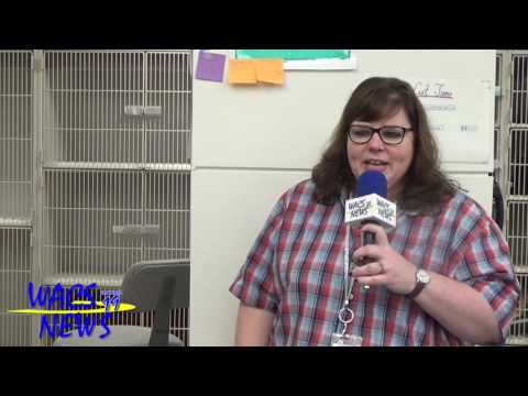 Sensational Student Isabelle