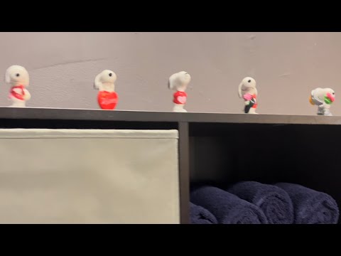 Vintage Valentines and Snoopy collection at my salon in hollywood ❤️💘💝💕💖❣️