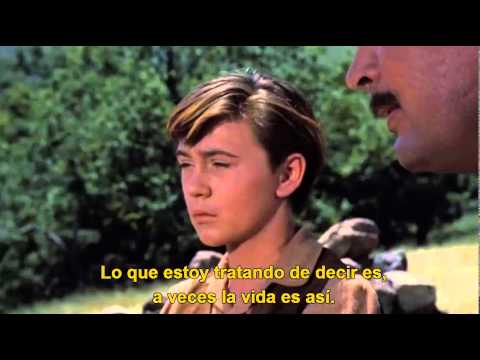 Old yeller - father's advice final scene
