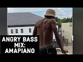 Amapiano Mix | ANGRY BASS MIX | Sgubhu sa Pitori |VOXX DJ