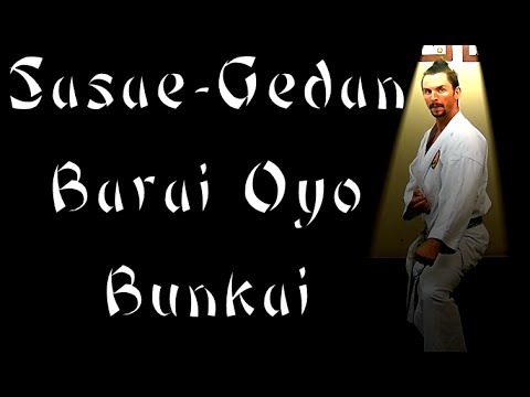 Waza Wednesday 10-21-15 - Sasae-Gedan-Barai and Drill