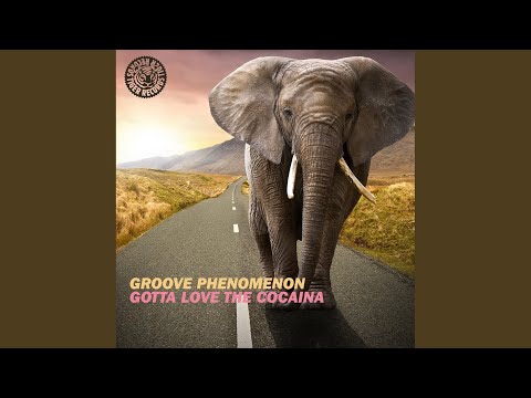 Gotta Love the Cocaina (Original Mix)