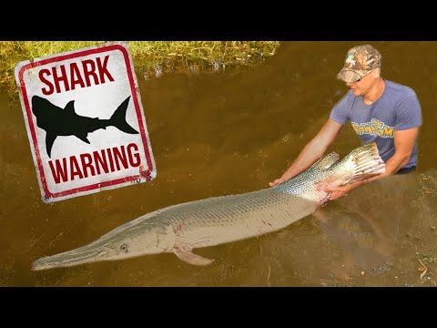 Catching MONSTER Fish for my Aquarium