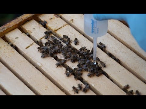 Korsett von degenerativen Bandscheibenerkrankungen Arzt Redox Ob krank Nerven im Hüftgelenk