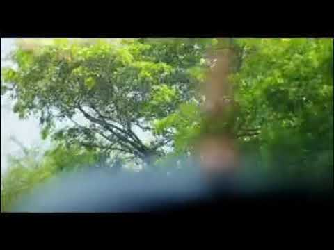 Uday Surya Kannada Rajyotsava special